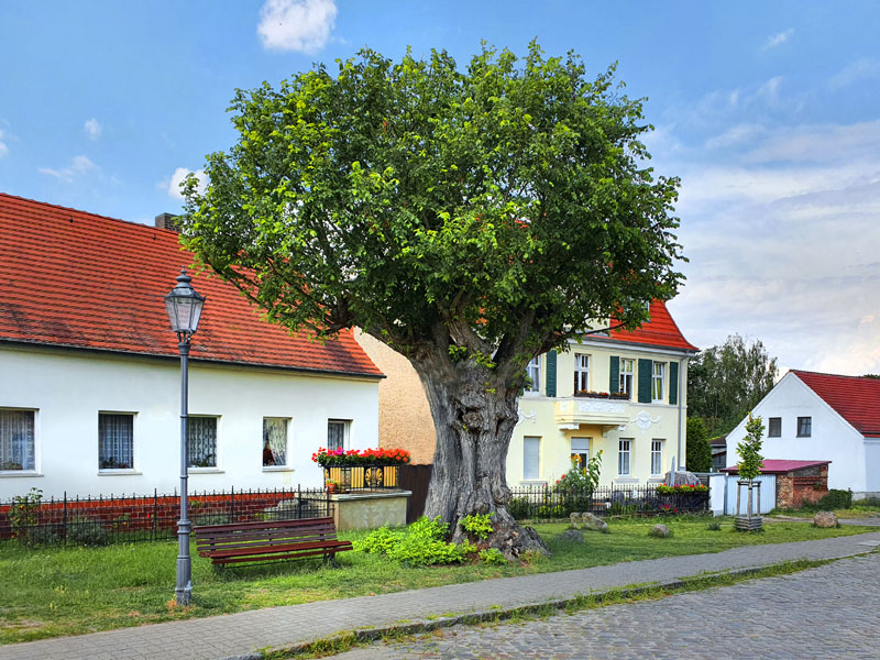 Berlin-Köpenick