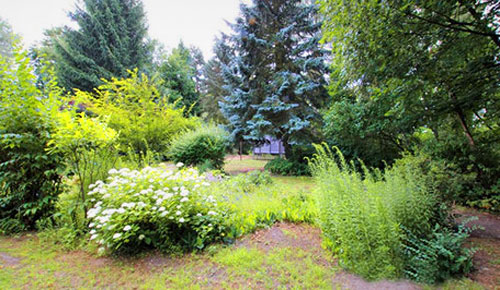 Schönes Sonnen-Grundstück in Goyatz am kleinen Schwielochsee