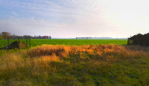 Großes Grundstück mit Bauernhaus in Sachsendorf