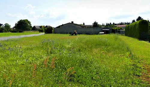 Großes bauträgerfreies Grundstück in Blönsdorf